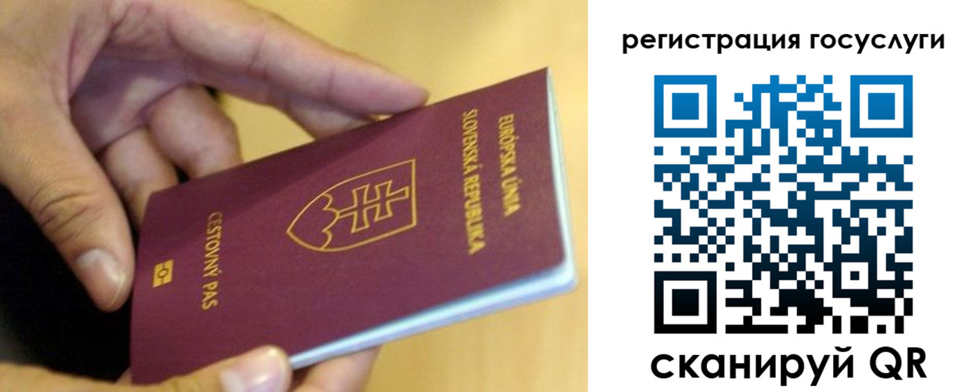 прописка в квартире в Рославле